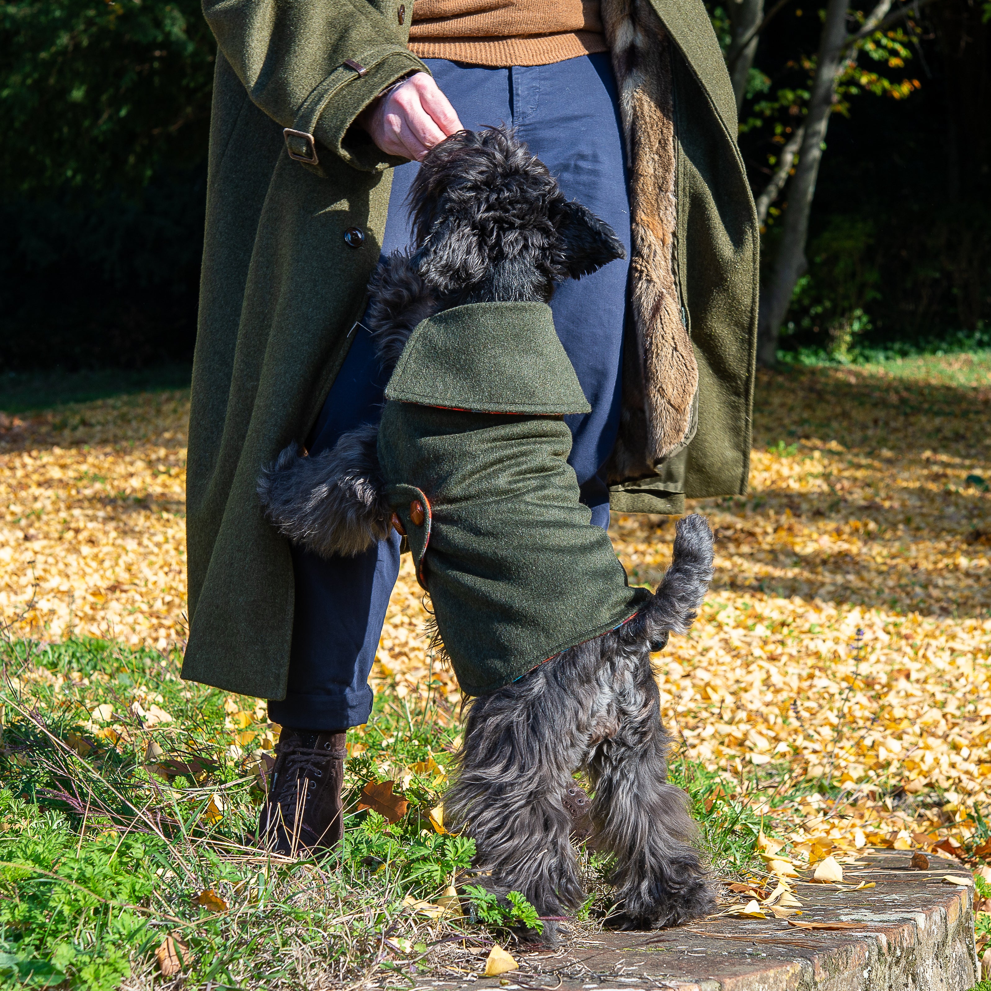 DANDY LODEN