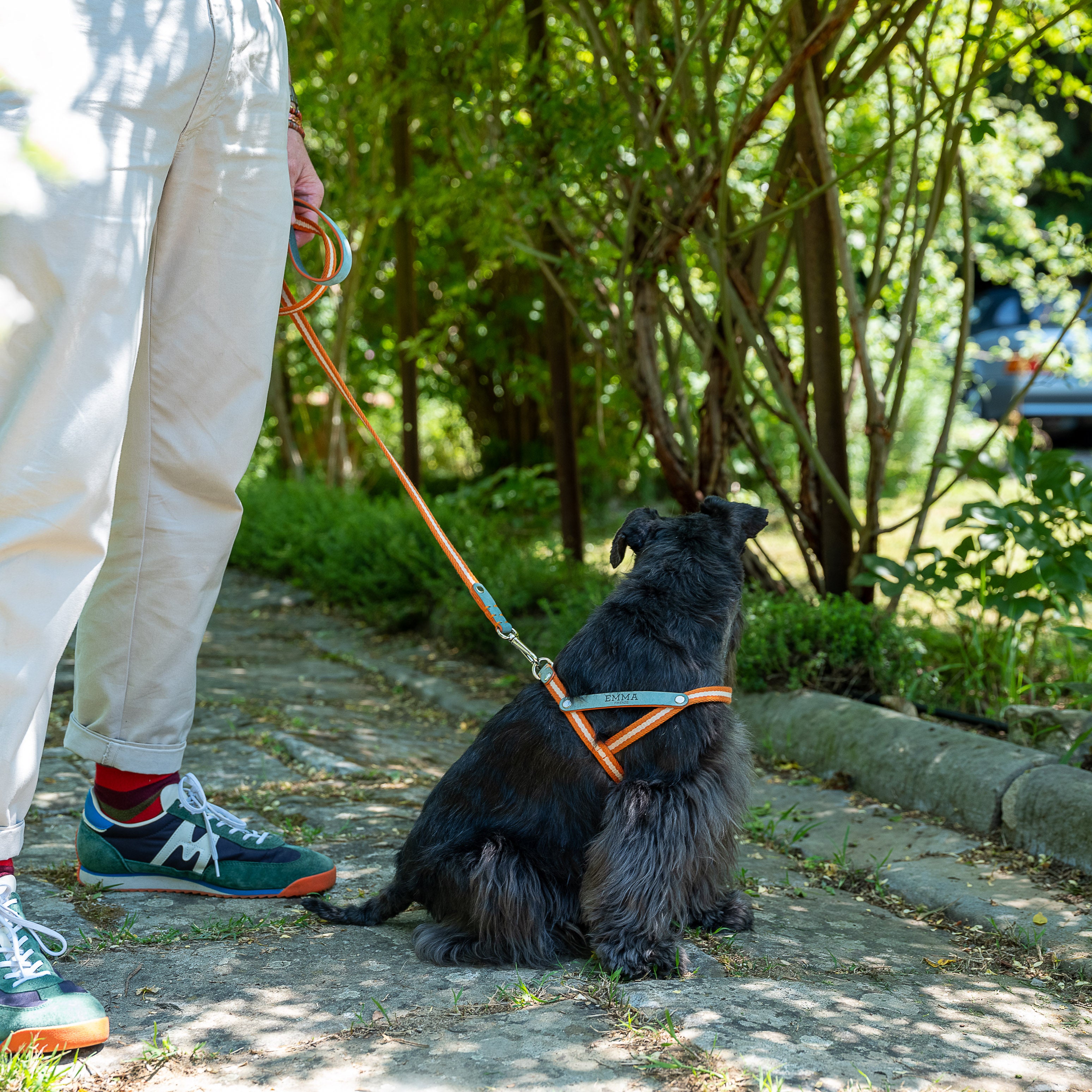 NUBUCK CELESTIAL-HARNESS