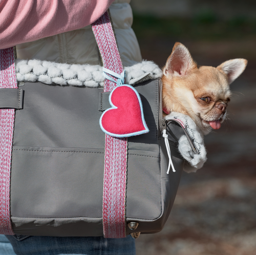 BEGONIA CUORE-BAG