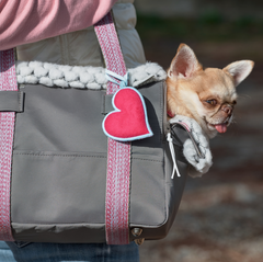 BEGONIA CUORE-BAG
