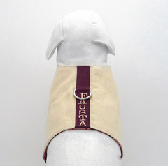 CANVAS-HARNESS