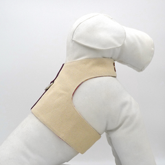 CANVAS-HARNESS