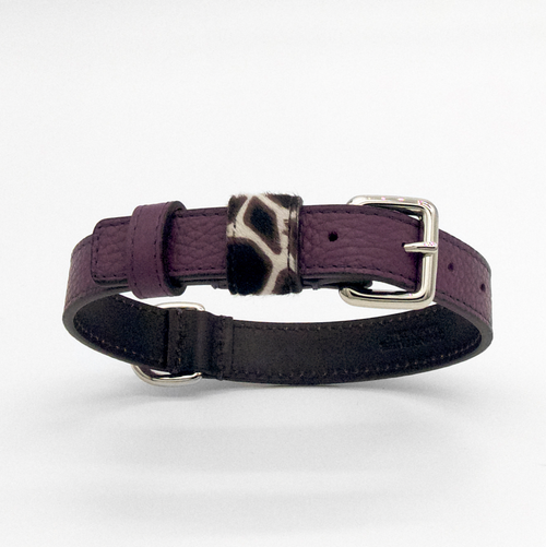 LILAC DESERT-COLLAR