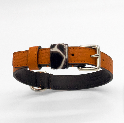 ORANGE DESERT-COLLAR