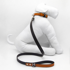 ORANGE DESERT-COLLAR