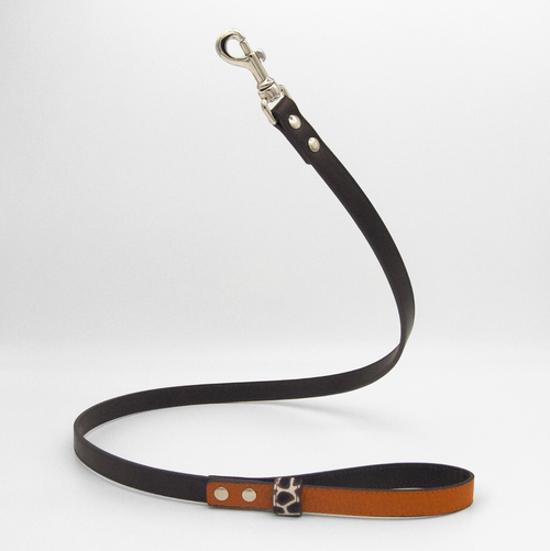 ORANGE DESERT-LEASH