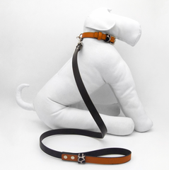 ORANGE DESERT-LEASH
