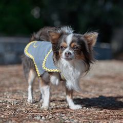 LEMON CUORE-COAT