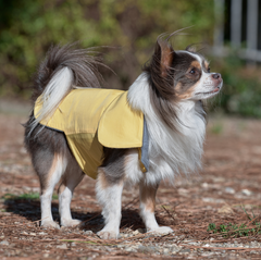 LEMON CUORE-COAT