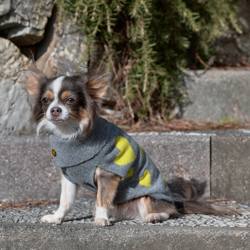 LEMON CUORE-KNITWEAR