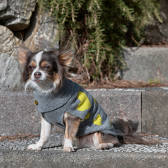 LEMON CUORE-KNITWEAR