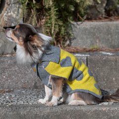 LEMON CUORE-KNITWEAR