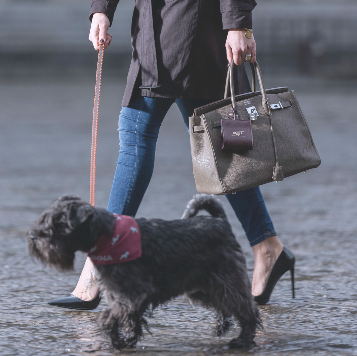 made in Italy dog products and luxury dog accessories