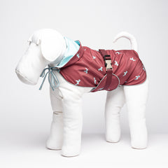 PATTERN RAINCOAT
