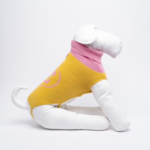 YELLOW & PINK LOGO