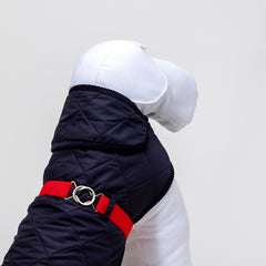 BLUE - RED & QUILT RAIN
