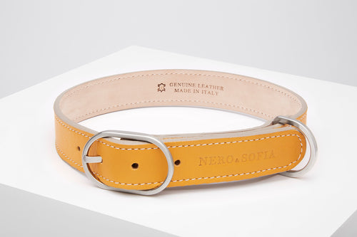 Nero & Sofia Yellow Sun Abbracci Collection Dog Collar - Nero & Sofia