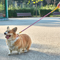 YELLOW & PINK BRAID-LEASH