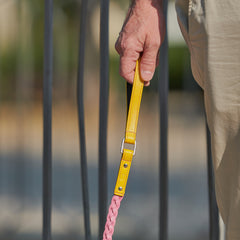 YELLOW & PINK BRAID-LEASH