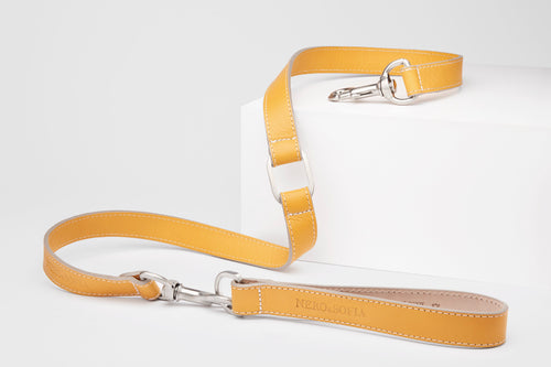 Nero & Sofia Yellow Sun Abbracci Collection Dog Leash - Nero & Sofia