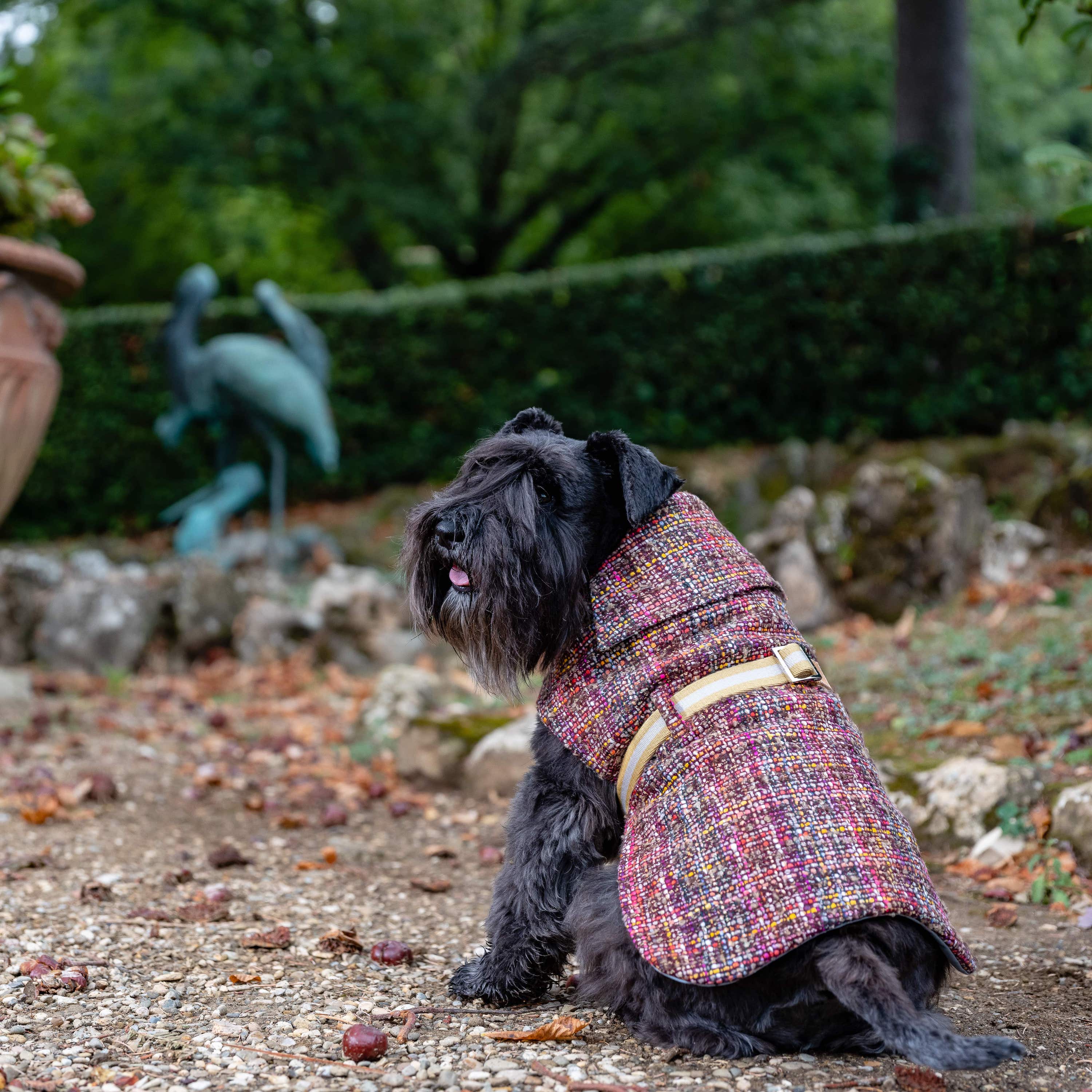 chanel dog vest