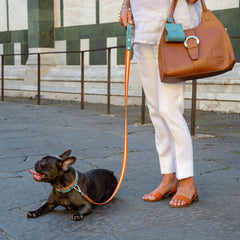 NUBUCK CELESTIAL-LEASH