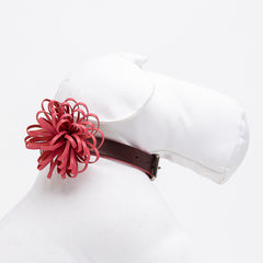 CORAL ANEMONE-COLLAR