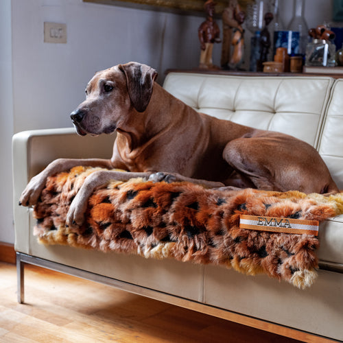 SUN BLANKET