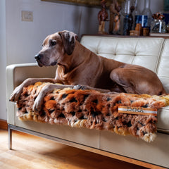 SUN BLANKET