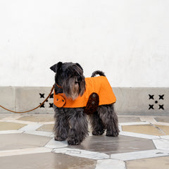 ORANGE ARMY