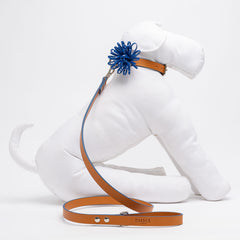 COBALT ANEMONE-COLLAR