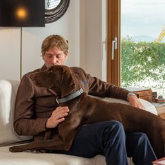 GALUCHAT COLLAR