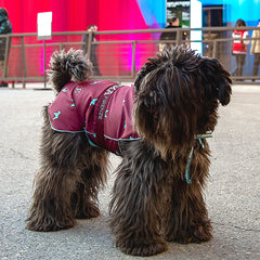 PATTERN RAINCOAT