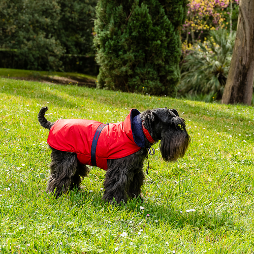 TERRY RAINCOAT
