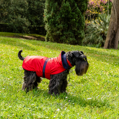 TERRY RAINCOAT