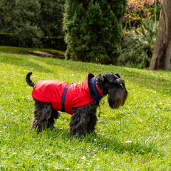 TERRY RAINCOAT