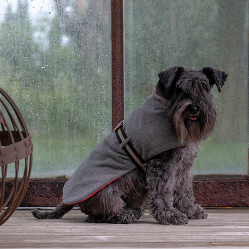 TWILL & RUST RAIN