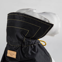 BLACK & GOLD RAIN