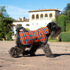DANDY LODEN