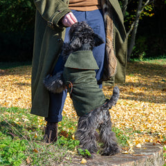 DANDY LODEN