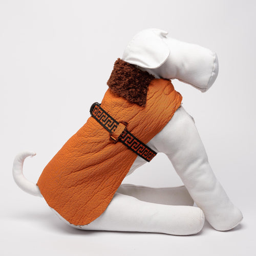 ORANGE GREEK-MOTIF