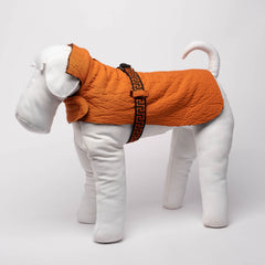 ORANGE GREEK-MOTIF