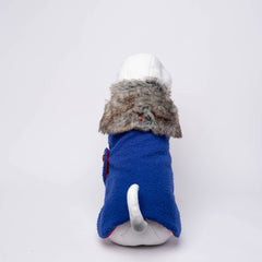 COBALT CASENTINO