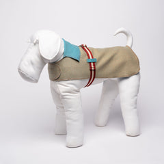 STITCH COAT