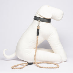 GALUCHAT COLLAR