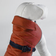 DENIM & ORANGE