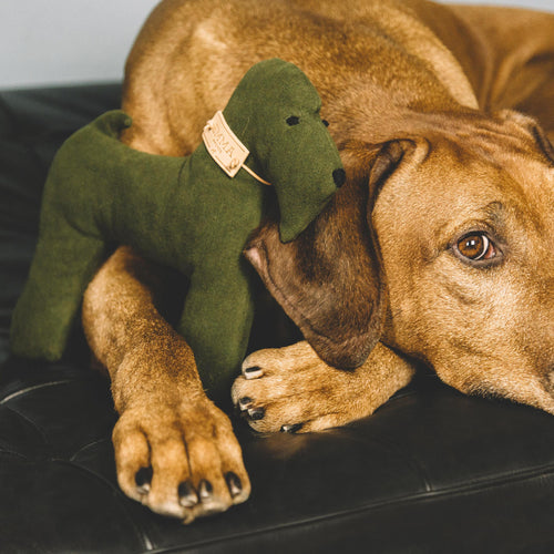 GREEN & FAUSTINA