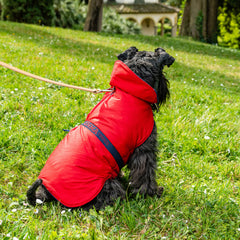 TERRY RAINCOAT
