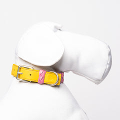 YELLOW & PINK BRAID-COLLAR