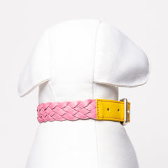 YELLOW & PINK BRAID-COLLAR